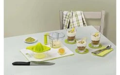 Rotho Loft Zitruspresse 0,4 Liter Limettengrün -MetalTextic Geschaft 459894 3184329