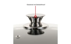 Cerafit Plasma Stielkasserolle Set 2 Teilig 18 Cm -MetalTextic Geschaft 586431 4000567