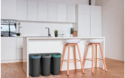 Rotho Twist Abfalleimer Mit Schwing- Und Klappdeckel 25 Liter Mistletoe Grün -MetalTextic Geschaft 688593 4830146 1