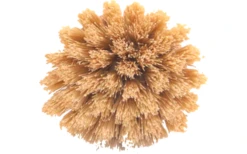 Origin Outdoors Reinigungsbürste Spülbürste Bambus Mit Naturfasern 5 Origin Outdoors Reinigungsbürste Spülbürste Bambus Mit Naturfasern -MetalTextic Geschaft 746156 5037293